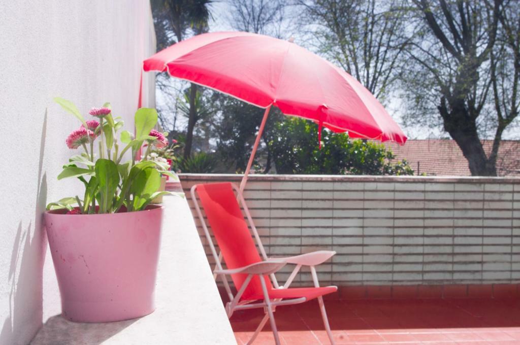 Apartamento Terrace Downtown *