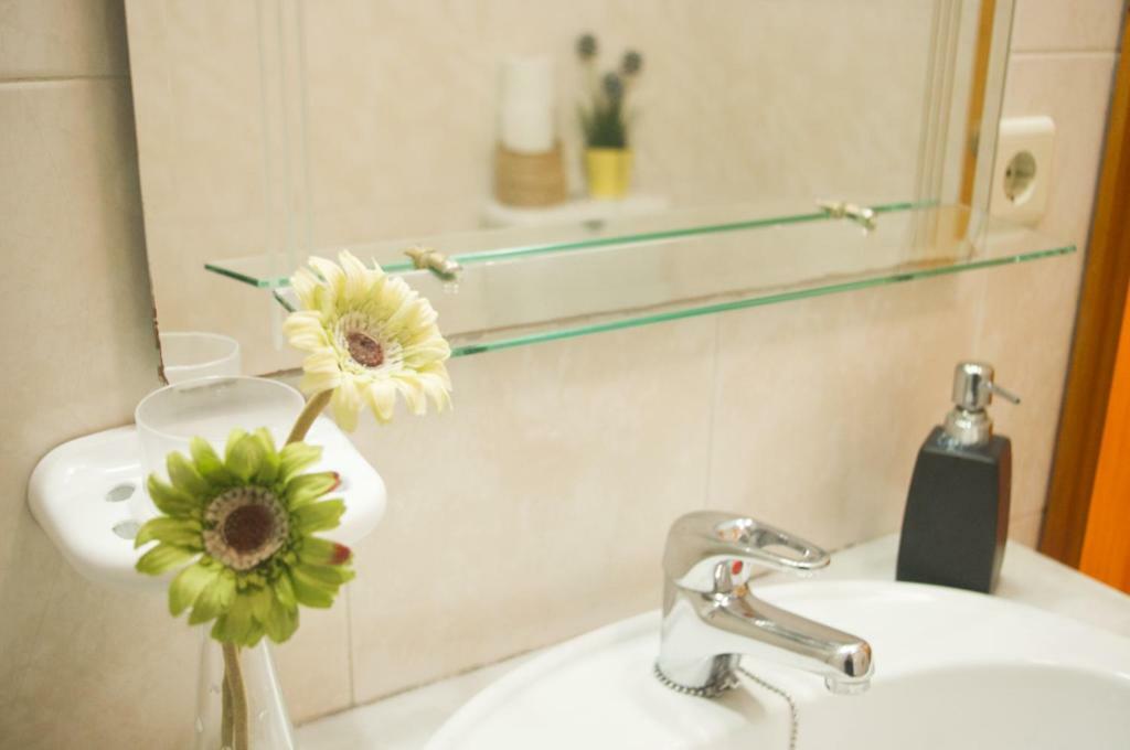 Terrace Downtown Apartamento *